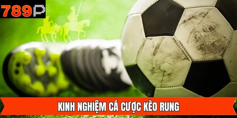 Bật mí các bí quyết sử dụng kèo rung hiệu quả nhất